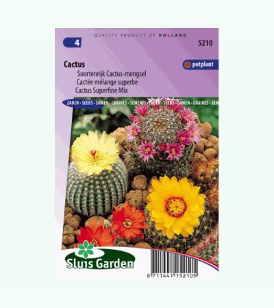 Soortenrijk Cactus mengsel bloemzaden - Cactus