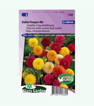 Zaaidahlia hoog dubbelbloemig bloemzaden - Dahlia Pompon Mix