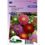 Zomeraster Chinese Aster bloemzaden - Prinses Mix