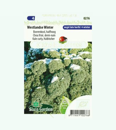 Boerenkool biologische zaden - Westlandse Winter