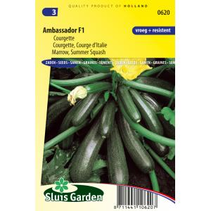 Afbeelding Courgette zaden - Ambassador F1 door Tuinexpress.nl