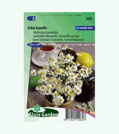 Kamille zaden - Matricaria chamomilla