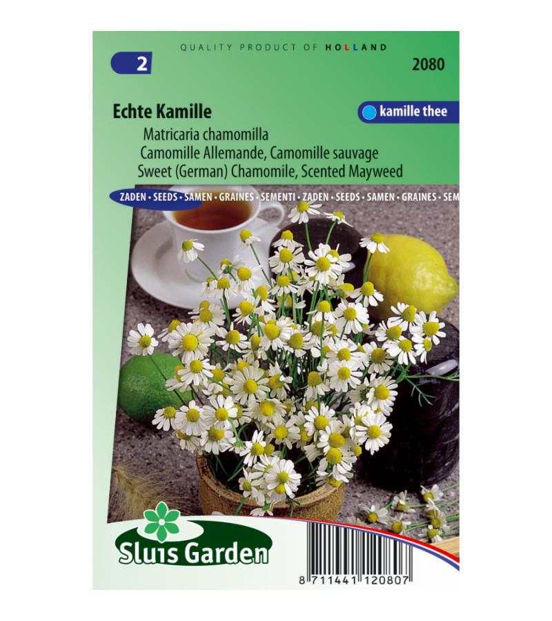 Kamille zaden - Matricaria chamomilla