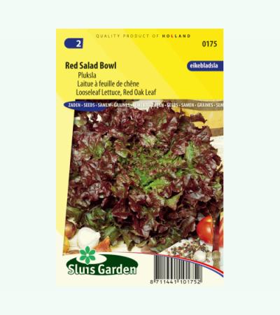 Pluksla zaden - Red Salad Bowl