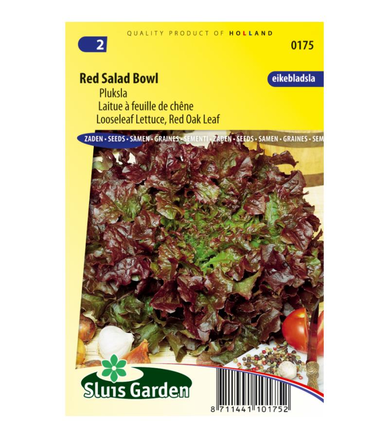 Pluksla zaden - Red Salad Bowl