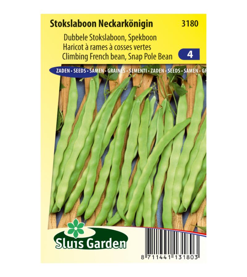 Stokslaboon (spekboon) zaden - Neckarkönigin