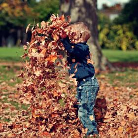 Wat zijn de algemene tuintips voor oktober?