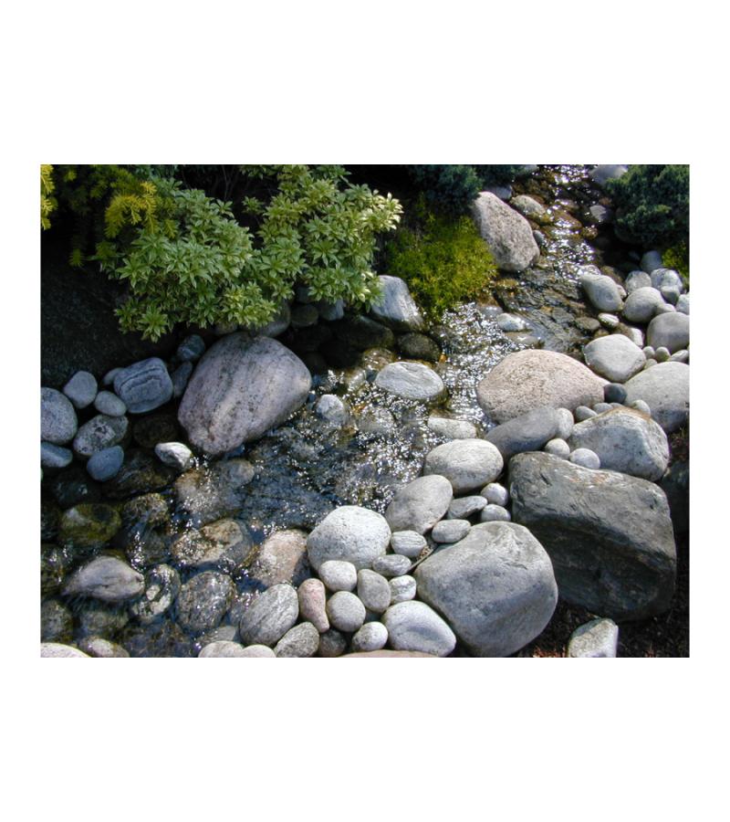 Xtra Fi filterpomp serie