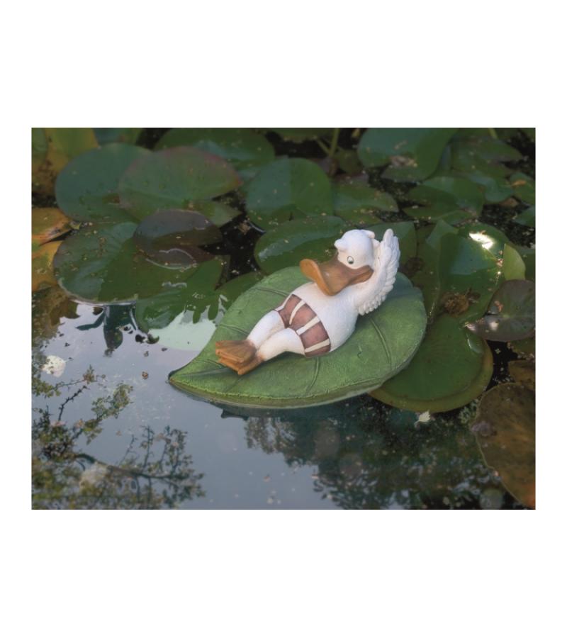 Eend liggend op een blad 2 drijffiguur