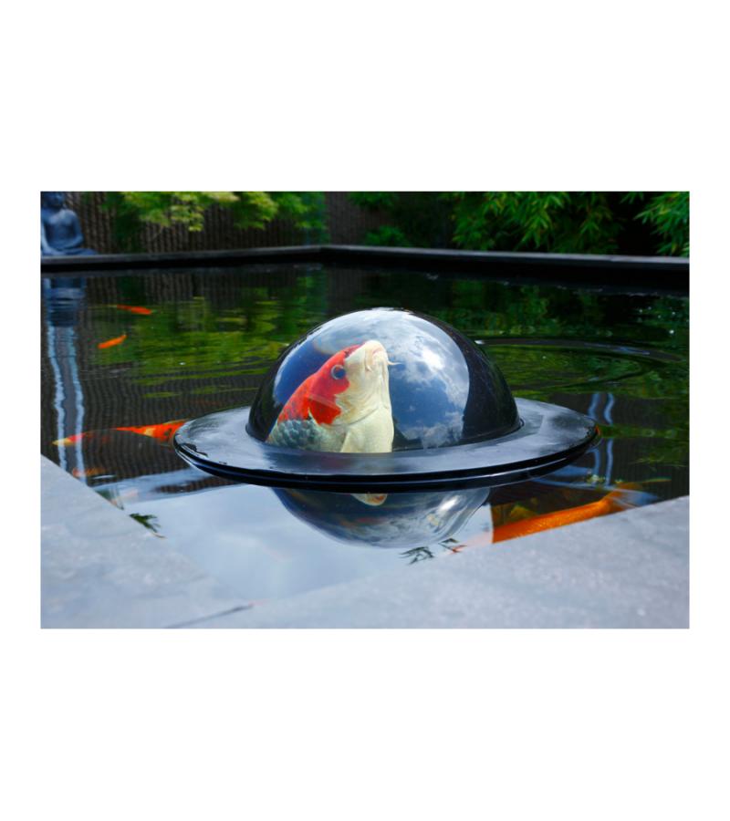 Floating Fish Dome groot 
